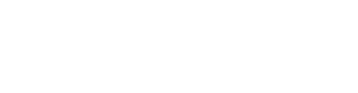 Wasser Logo