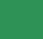 Safety Green F4193